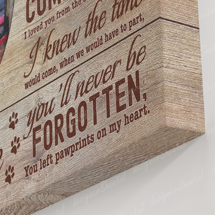 Dog Memorial Passing Gift Canvas Personalized Pet Loss Gifts | dog mom gift | Pet Bereavement Gift | Pet Sympathy Gift | Pet Loss Frame - Touch Of Divine