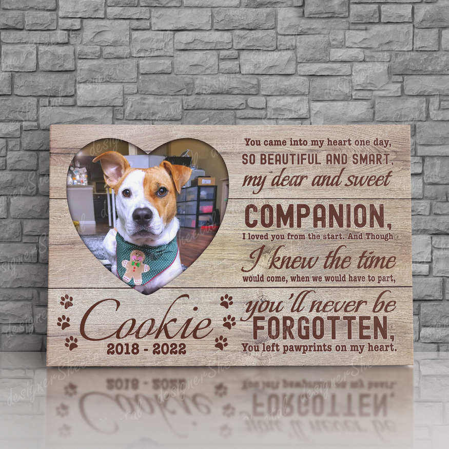 Dog Memorial Passing Gift Canvas Personalized Pet Loss Gifts | dog mom gift | Pet Bereavement Gift | Pet Sympathy Gift | Pet Loss Frame - Touch Of Divine