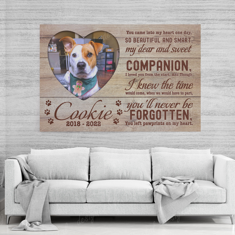 Dog Memorial Passing Gift Canvas Personalized Pet Loss Gifts | dog mom gift | Pet Bereavement Gift | Pet Sympathy Gift | Pet Loss Frame - Touch Of Divine