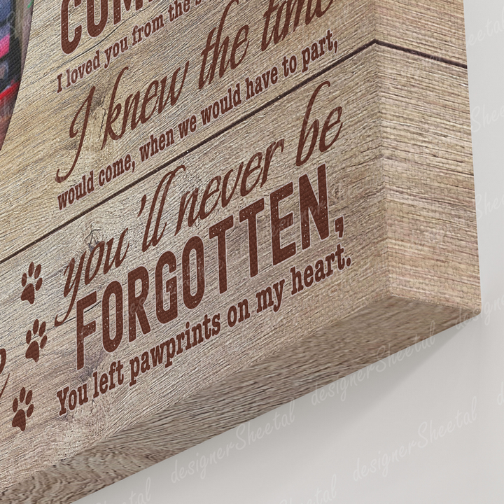 Dog Memorial Passing Gift Canvas Personalized Pet Loss Gifts | dog mom gift | Pet Bereavement Gift | Pet Sympathy Gift | Pet Loss Frame - Touch Of Divine