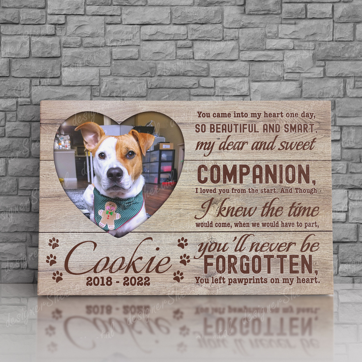 Dog Memorial Passing Gift Canvas Personalized Pet Loss Gifts | dog mom gift | Pet Bereavement Gift | Pet Sympathy Gift | Pet Loss Frame - Touch Of Divine