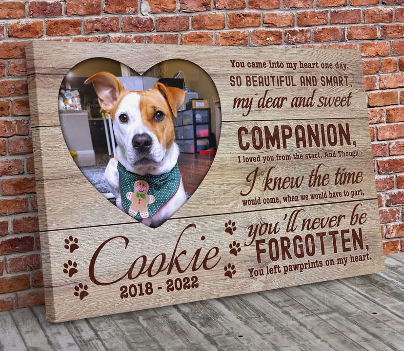 Dog Memorial Passing Gift Canvas Personalized Pet Loss Gifts | dog mom gift | Pet Bereavement Gift | Pet Sympathy Gift | Pet Loss Frame - Touch Of Divine