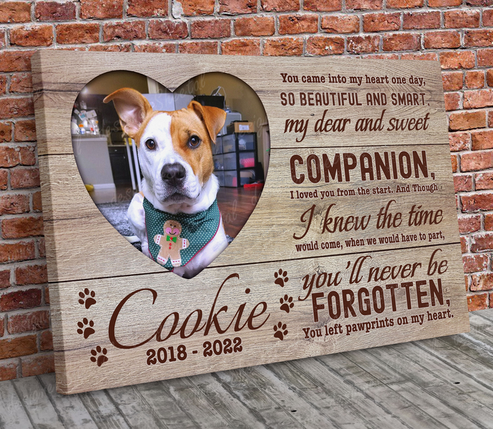 Dog Memorial Passing Gift Canvas Personalized Pet Loss Gifts | dog mom gift | Pet Bereavement Gift | Pet Sympathy Gift | Pet Loss Frame - Touch Of Divine