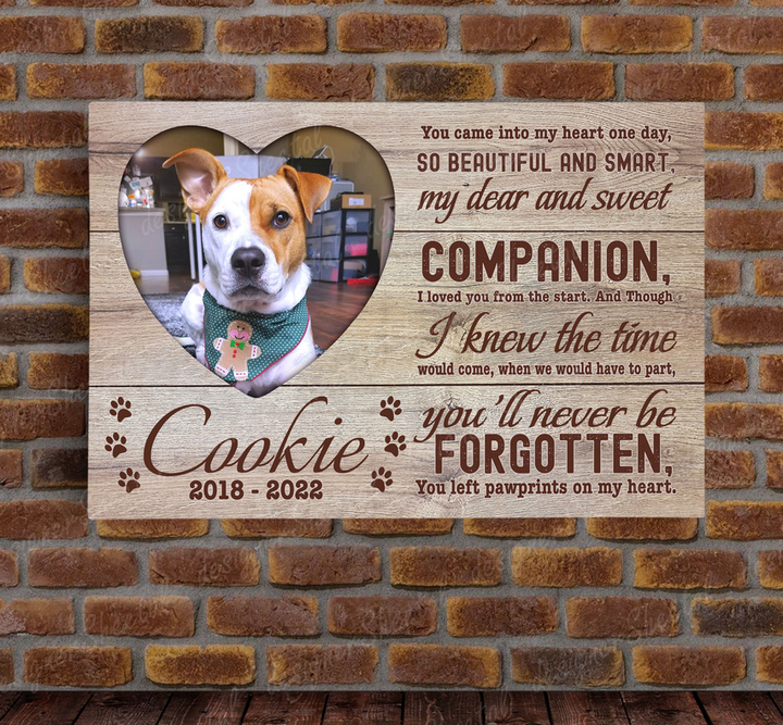 Dog Memorial Passing Gift Canvas Personalized Pet Loss Gifts | dog mom gift | Pet Bereavement Gift | Pet Sympathy Gift | Pet Loss Frame - Touch Of Divine