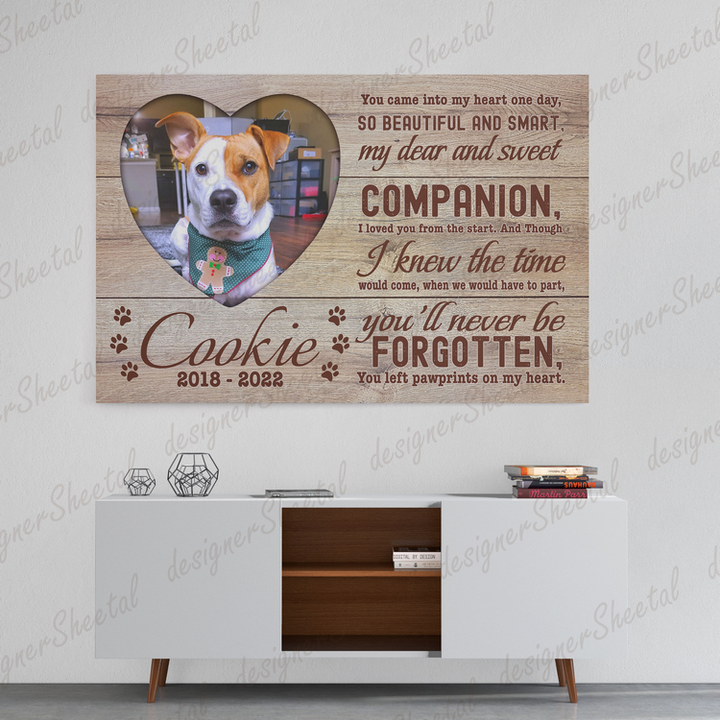 Dog Memorial Passing Gift Canvas Personalized Pet Loss Gifts | dog mom gift | Pet Bereavement Gift | Pet Sympathy Gift | Pet Loss Frame - Touch Of Divine