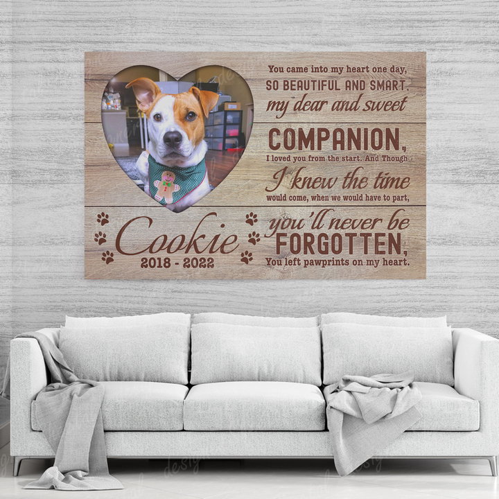 Dog Memorial Passing Gift Canvas Personalized Pet Loss Gifts | dog mom gift | Pet Bereavement Gift | Pet Sympathy Gift | Pet Loss Frame - Touch Of Divine
